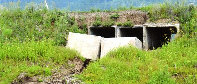 Дмитрий Малинин прокомментировал ситуацию вокруг построенного "неизвестными" моста в кемеровском районе